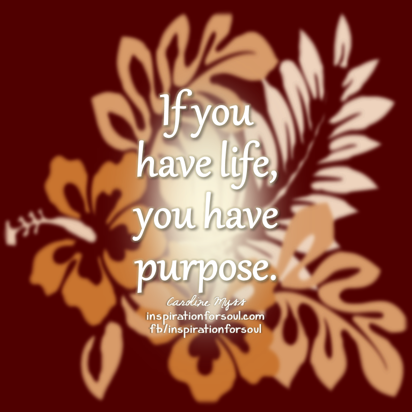 if you have life you have purpose