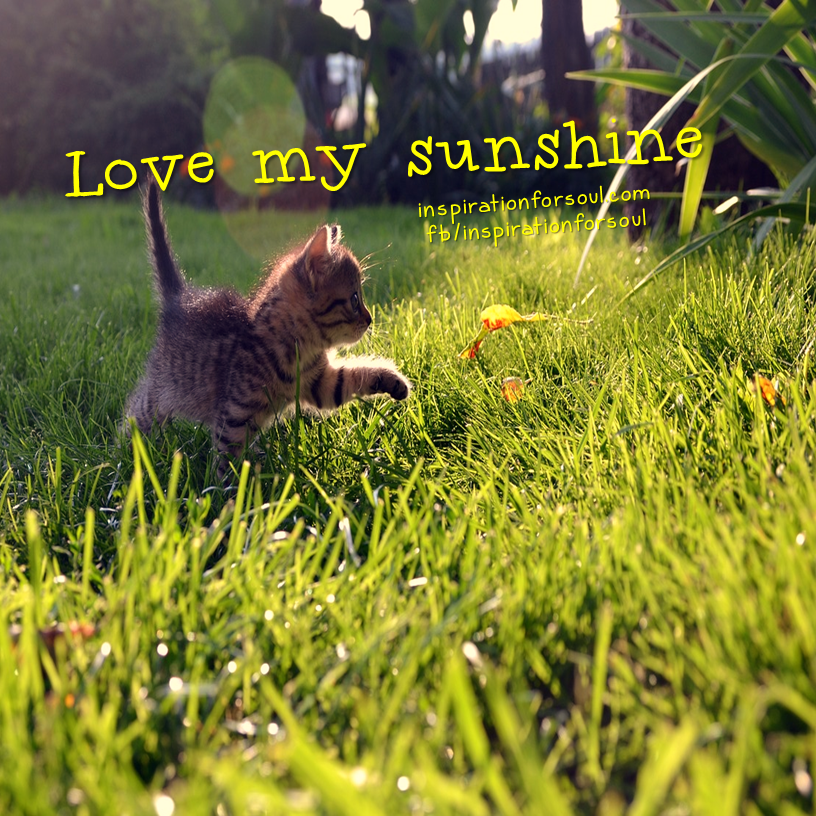 Love my sunshine – Inspiration for Soul Quote