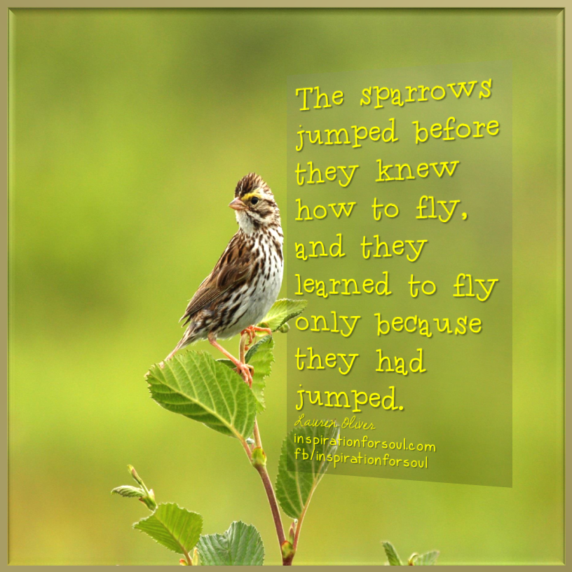 To learn how to fly – Lauren Oliver Quote