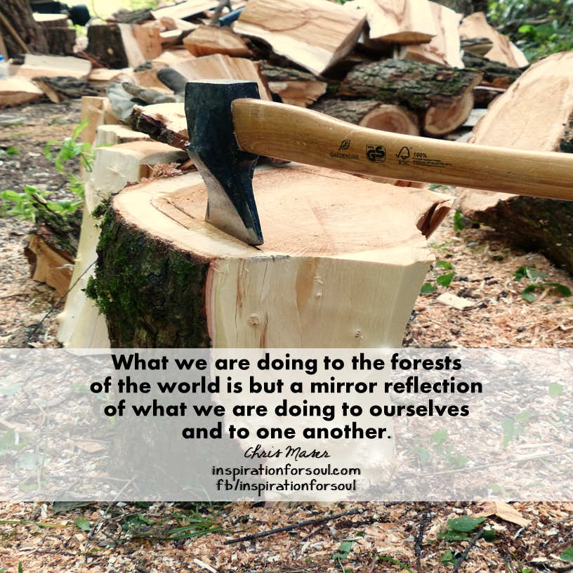 What we are doing to the forests – Chris Maser Quote